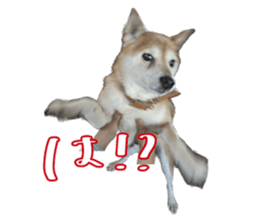 587279306