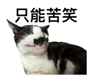 587339791