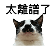 587339812