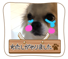 587340522