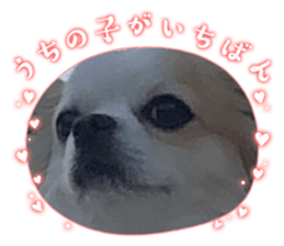 587340533