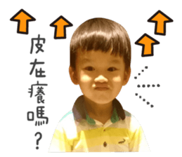 58735800