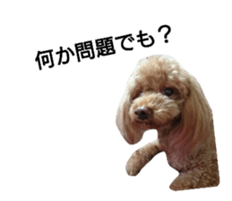 58738417