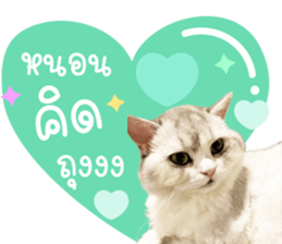 587443632