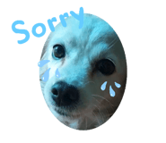 587467268