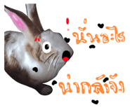 587496656