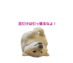 587536034