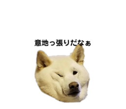 587536035