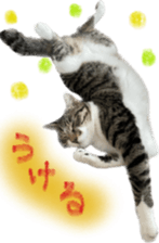587537430