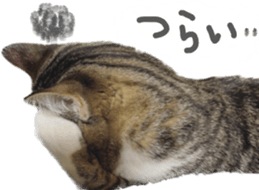 587537432