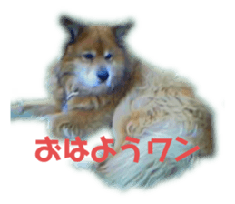 587580081
