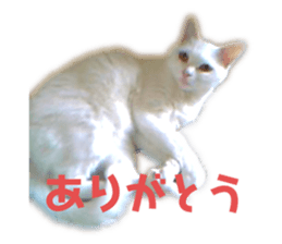 587580089