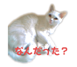 587580090