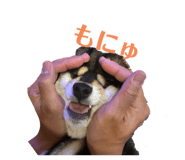 587610112