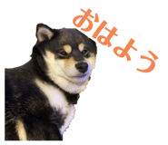 587610119
