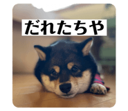 587610121