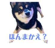 587610122