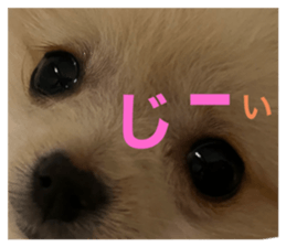 587672162