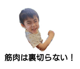 587681354