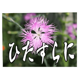 587684146