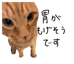 587685711