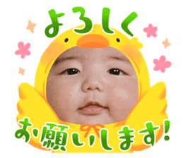 587694558