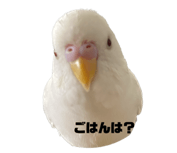 587706889