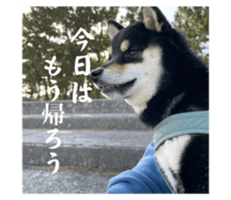 587720553