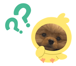 587733218