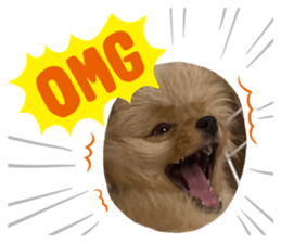 587733231