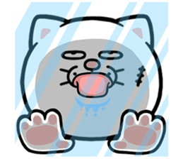 587753254