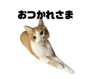 587899767