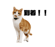 587899770