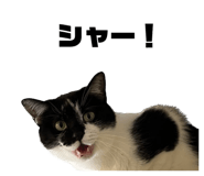 587899789