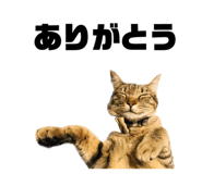 587899792
