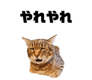 587899795