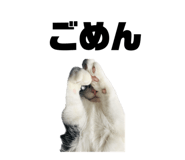 587899800