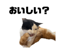 587899801