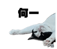 587899805