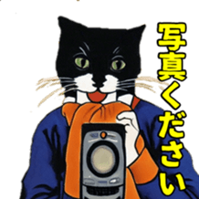 587920876