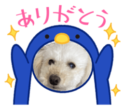 587937306