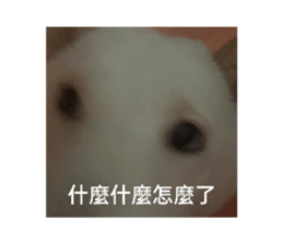 587955356
