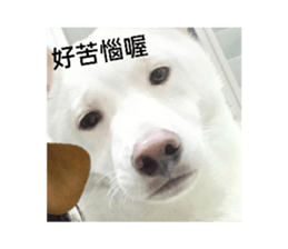 587955365