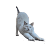 587958176