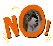 587979408