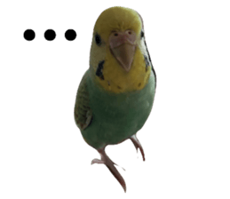 587992803