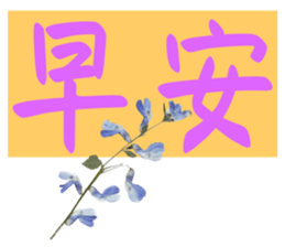 588005012