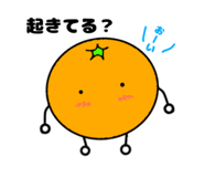 588024398