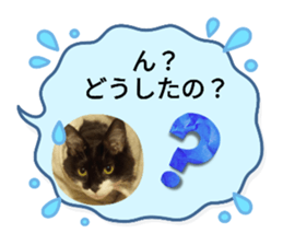 588025509