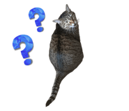588038669